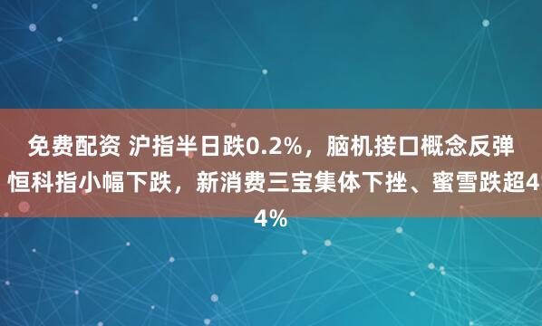 免费配资 沪指半日跌0.2%，脑机接口概念反弹，恒科指小幅下跌，新消费三宝集体下挫、蜜雪跌超4%