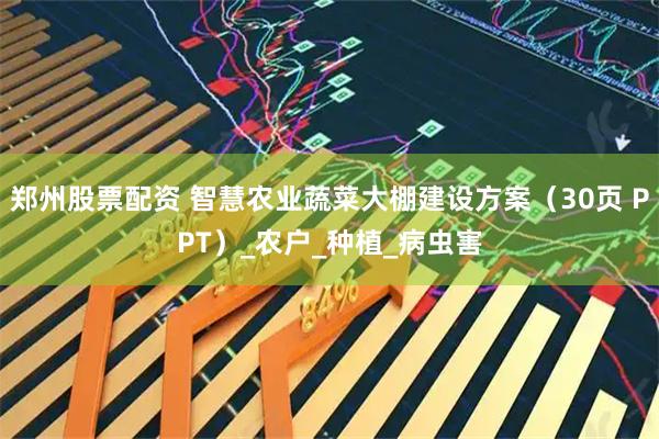 郑州股票配资 智慧农业蔬菜大棚建设方案（30页 PPT）_农户_种植_病虫害